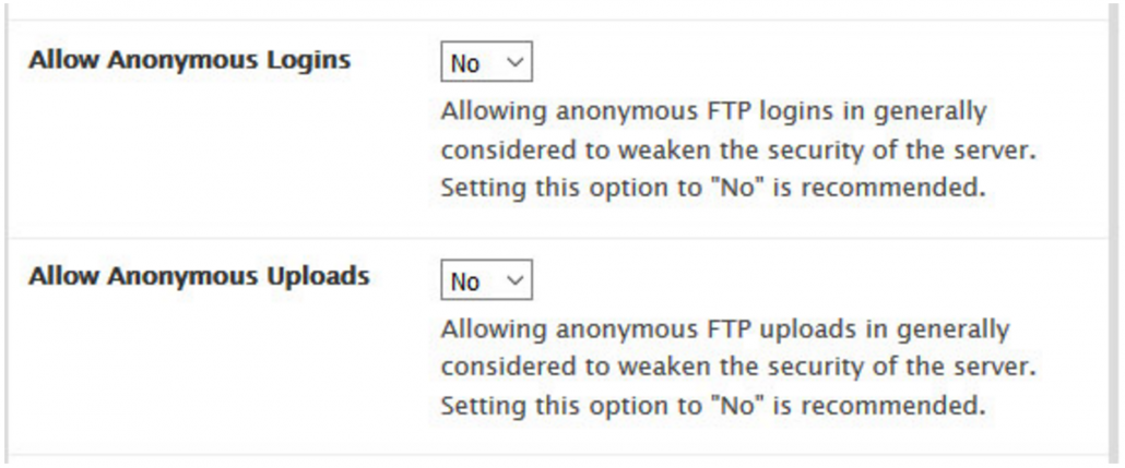 disable FTP uploads and anonymous logins