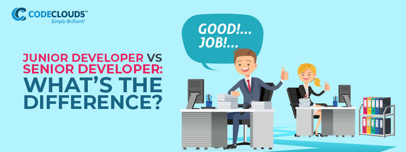 Junior Developer vs Senior Developer: What’s the Difference